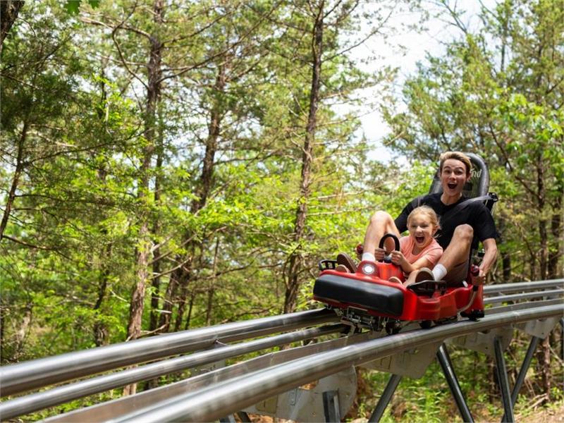 Copperhead Mountain Coaster