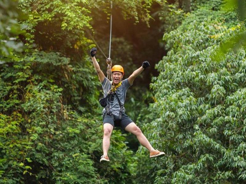 ZIP Canopy Tours - Shepherd of the Hills