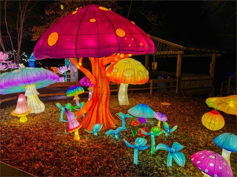 Shepherd's OZARKS AGLOW through May 31