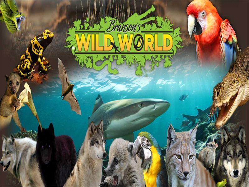 Branson Wild World