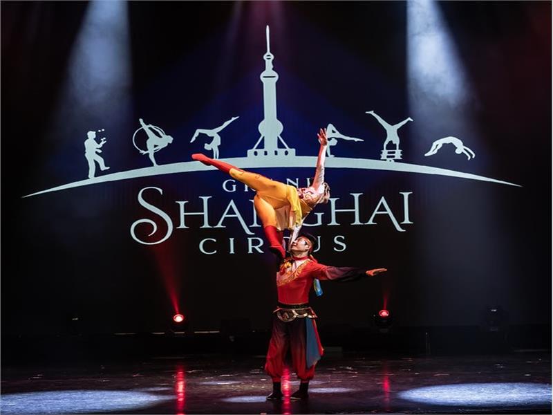 Amazing Acrobats of Shanghai